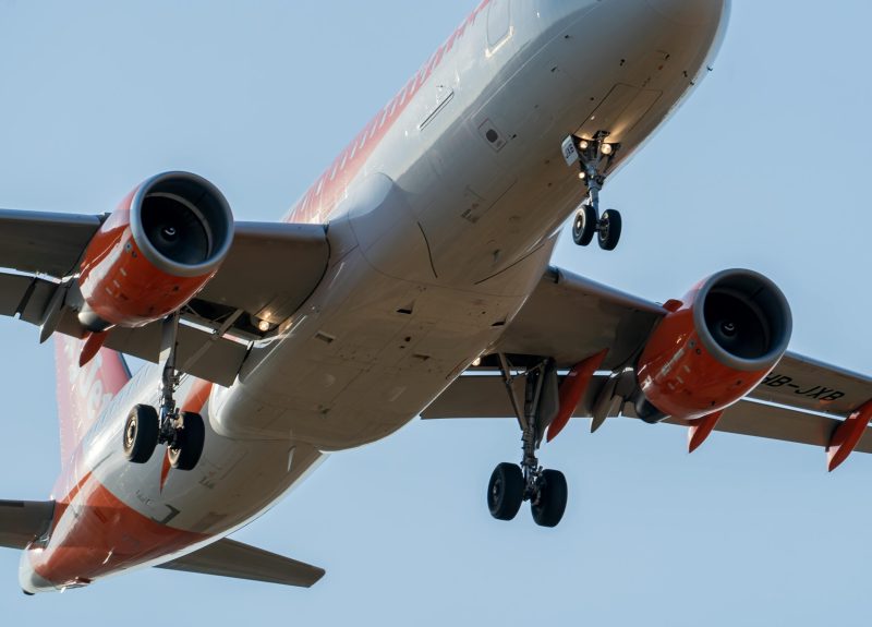 pexels-thales13-33231983