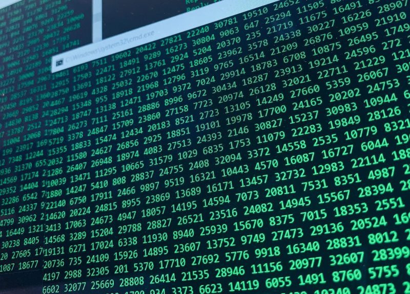 pexels-tibe-de-kort-115101682-9951077